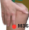 M36