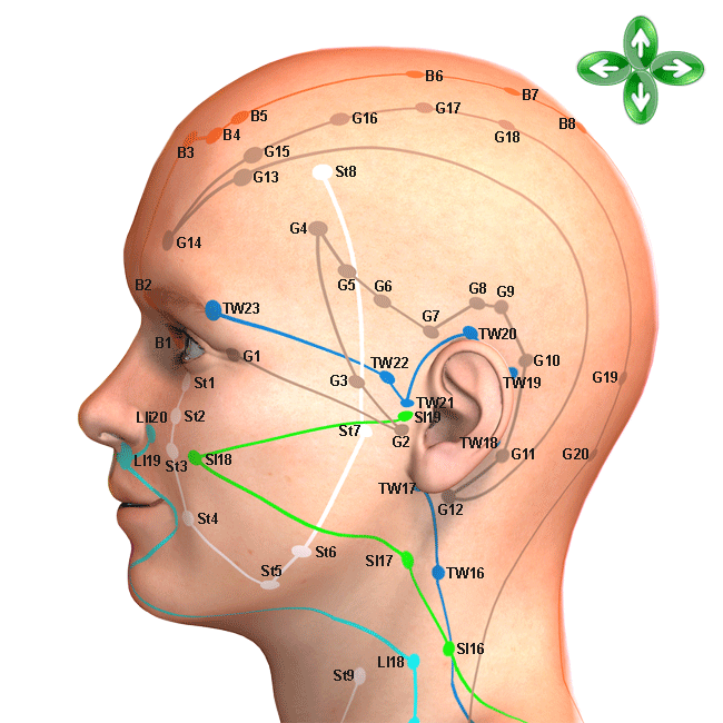 head acupuncture points laterally