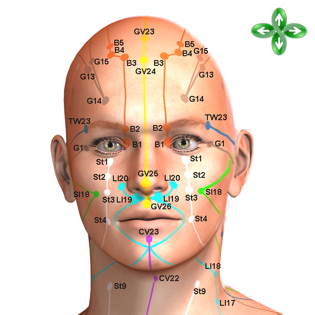 head acupuncture points